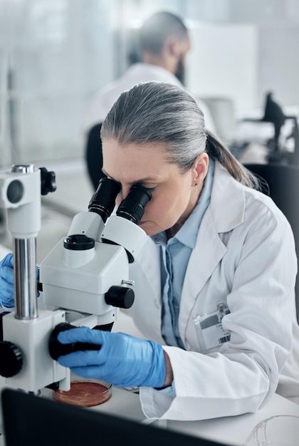 Ricerca scientifica e microscopio con donna in laboratorio che lavora allo sviluppo di vaccini medici e farmacie Innovazione sanitaria e indagine medica con scienziato esperto senior