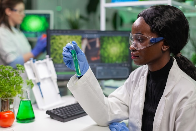 ricercatore che esamina la provetta con il dna verde dell'alberello che analizza la mutazione genetica modificata per l'esperimento di microbiologia