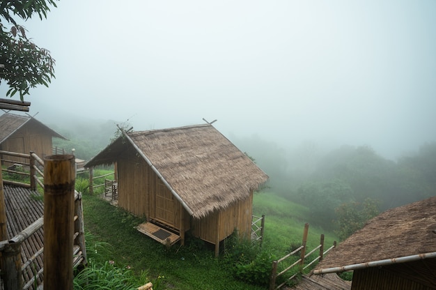 Ricorso di capanna di paglia in legno nella nebbia sulla collina nella foresta pluviale tropicale al mattino