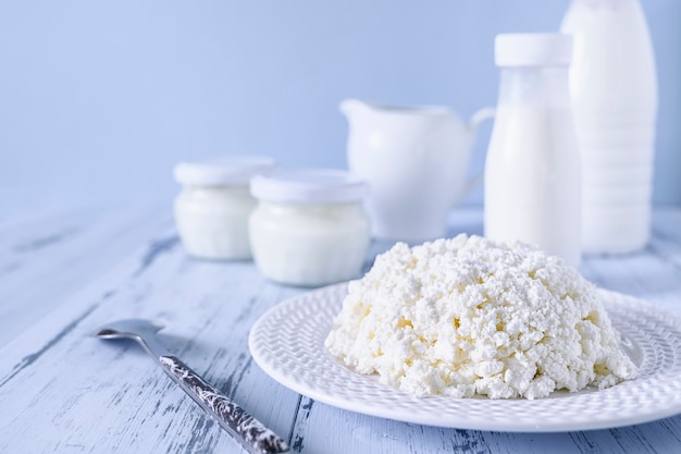 Ricotta fresca fatta in casa