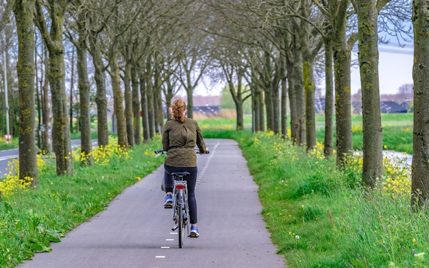 Riding Bicycle In Natural Park