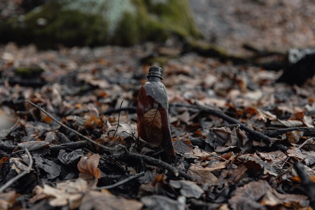 Rifiuti di bottiglie di plastica nella foresta Inquinamento ecologico del mondo circostante da parte dell'uomo