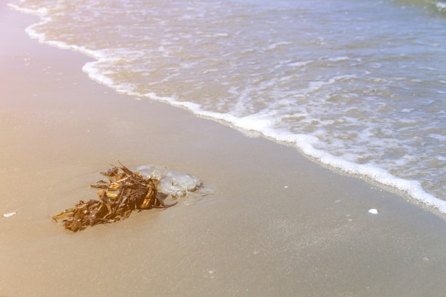 Rifiuti sulla spiaggia di sabbia che mostra il problema di inquinamento ambientale