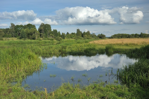 Riflessi di nuvole