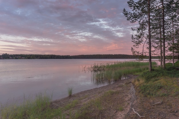 Riflessione degli alberi al tramonto colorato nel lago