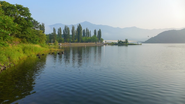 Riflessione degli alberi nel lago Kawaguchiko di mattina, il Giappone