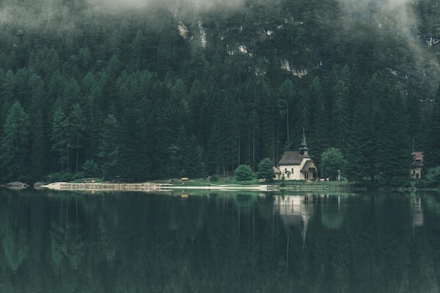 Riflessione degli alberi nell'acqua