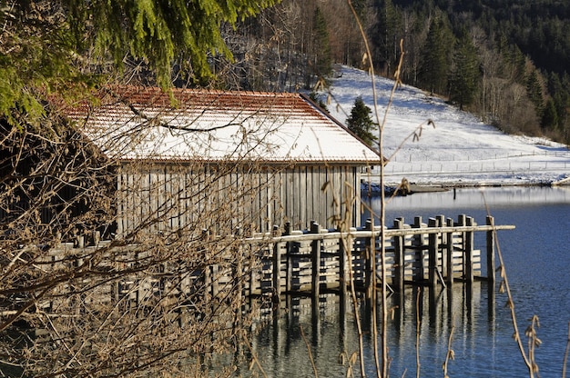 Riflessione degli alberi nell'acqua