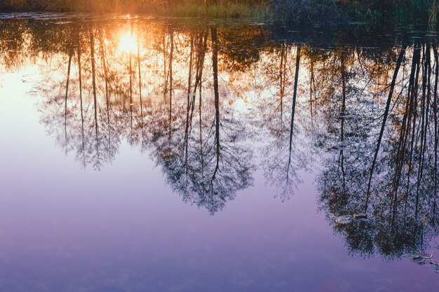 Riflessione del tramonto nell'acqua del fiume. Autunno