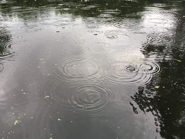 Riflessione dell'acqua nell'acqua