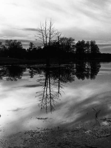 Riflessione delle silhouette degli alberi nel lago contro il cielo