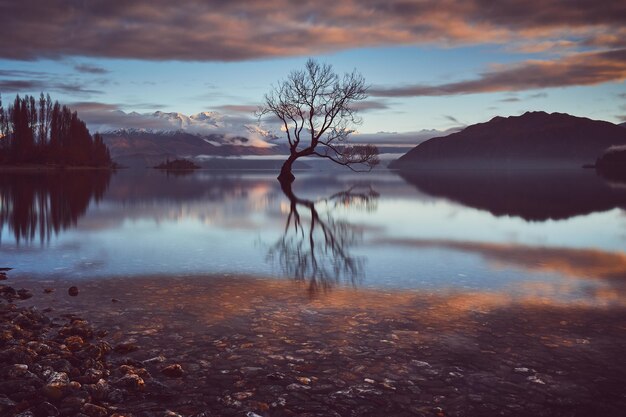 Riflessione di un albero nudo nel lago contro il cielo durante il tramonto.