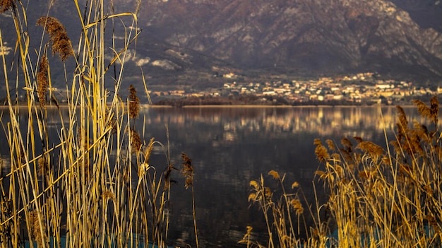 Riflessione nel lago Annone, Lecco, Lombardia, Italia.