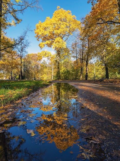 Riflessione nell'acqua sull'isola di Elagin a San Pietroburgo in autunno