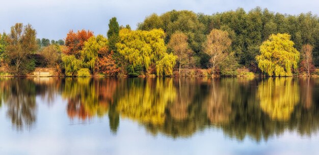 Riflessioni autunnali