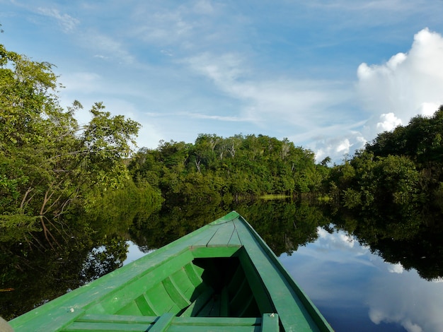 Riflessioni del Rio delle Amazzoni, Brasile