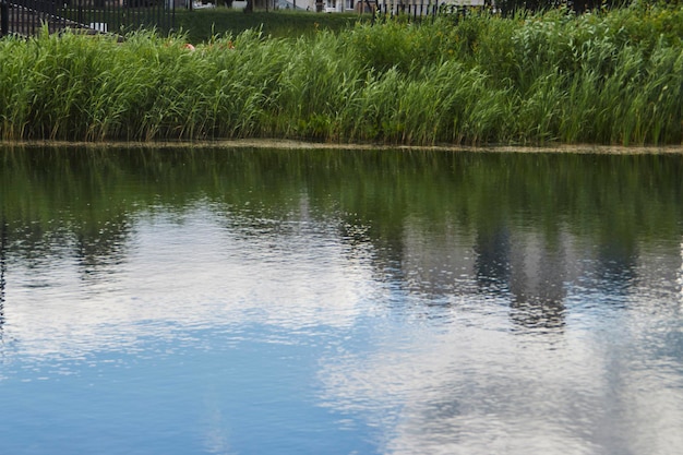 riflesso astratto delle nuvole sulla superficie dell'acqua