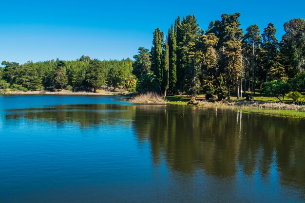 riflesso del lago