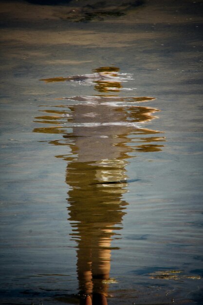 Riflesso di una persona in piedi in acqua