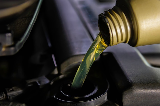 Rifornimento di carburante e olio di riempimento Riempire l'olio nel motore, nella manutenzione e nelle prestazioni.