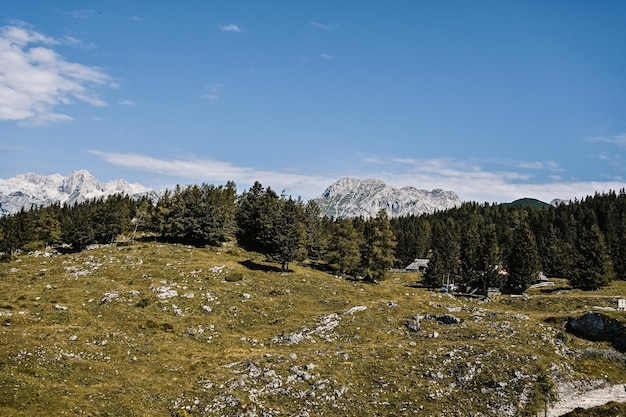 Rifugio di montagna o casa sulla collina Velika Planina paesaggio di prati alpini Agricoltura ecologica Meta di viaggio per escursioni in famiglia Alpi di Kamnik Slovenia Grande altopiano
