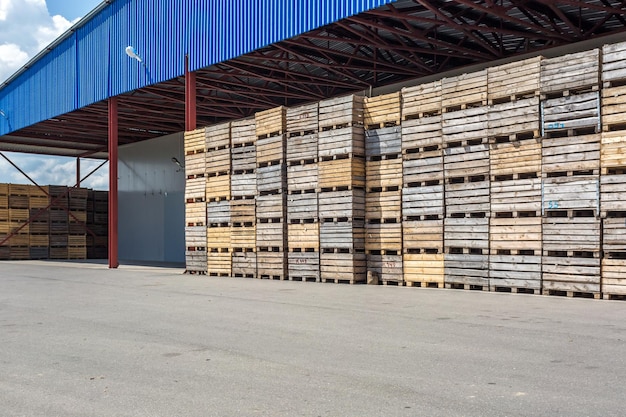 Righe di casse di legno scatole e pallet per frutta e verdura in magazzino magazzino produzione Industria impiantistica