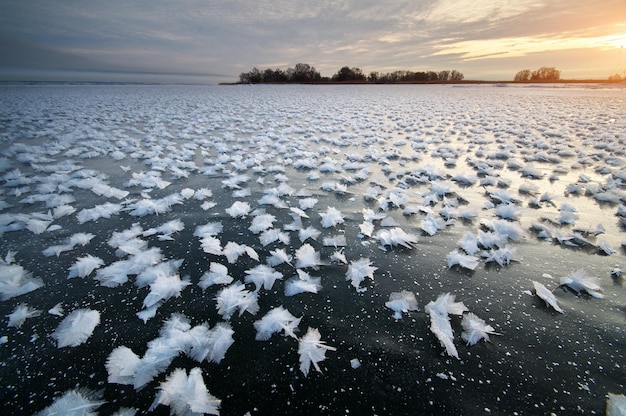 Rime su ghiaccio congelato. Composizione della natura.