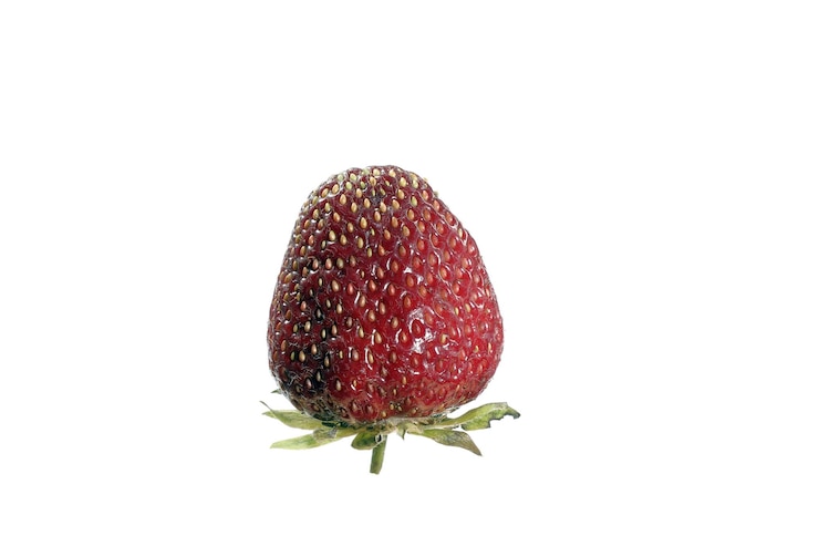 Photo ripe red strawberry fruit on a white background