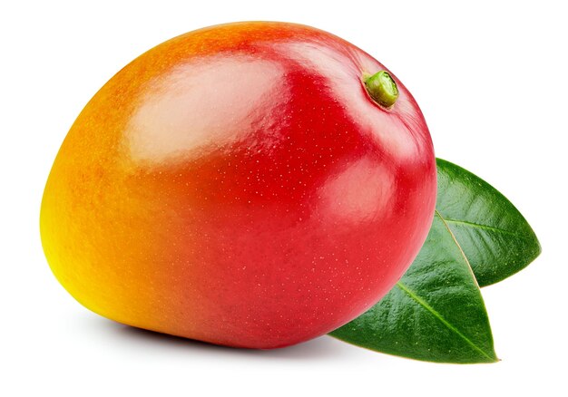Ripe whole mango fruit and half isolated