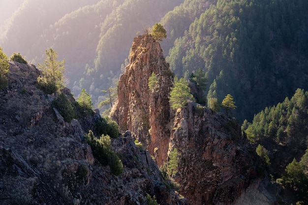 Ripida roccia illuminata dal sole che sorge sullo sfondo del boscoso pendio di montagna Caucaso Russia