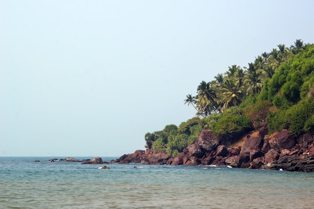 Ripida spiaggia rocciosa con palme. India. Goa