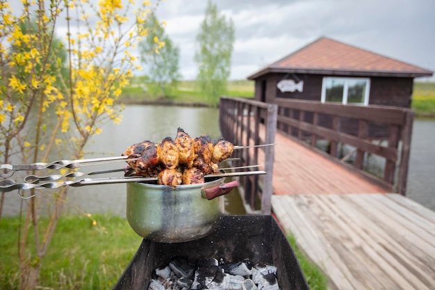 Riposo in natura Cucinare barbecue sullo sfondo del fiume e della casa