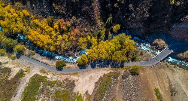 Ripresa aerea con drone autunnale