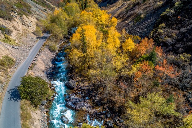 Ripresa aerea con drone autunnale