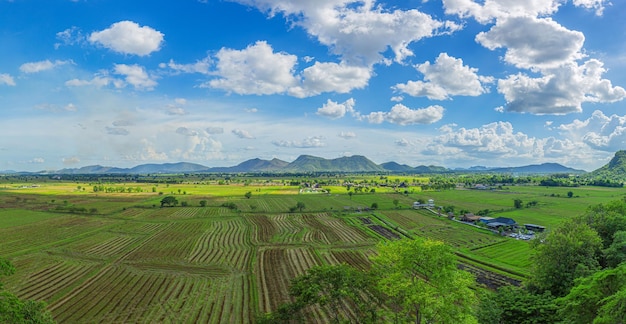 Ripresa aerea della terrazza del riso Immagine del bellissimo campo di riso della terrazza a Chiang Rai Thailandia