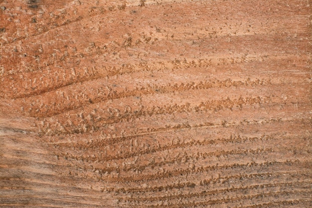 ripresa ravvicinata della consistenza del legno Plank