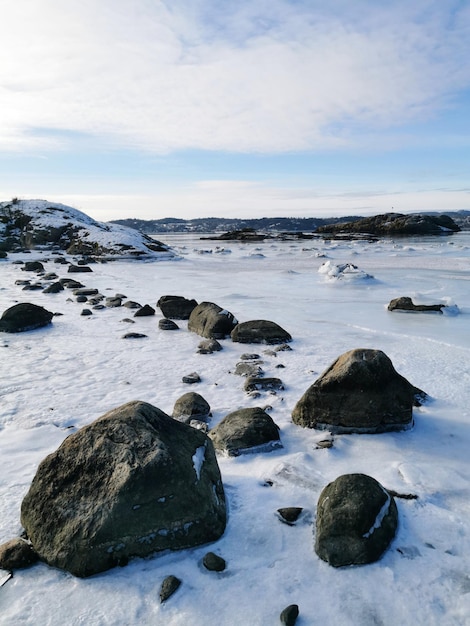 Ripresa verticale del paesaggio innevato a Sukkersletta, Larvik, Norvegia