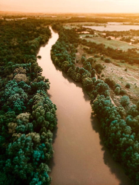 Ripresa verticale di un fiume e alberi verdi al tramonto