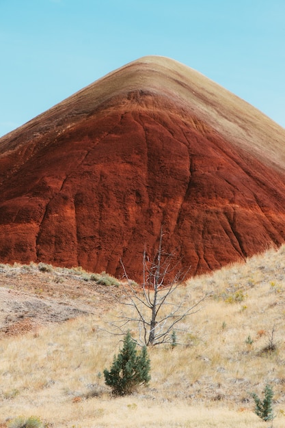 Ripresa verticale di un paesaggio affascinante di un ambiente arido