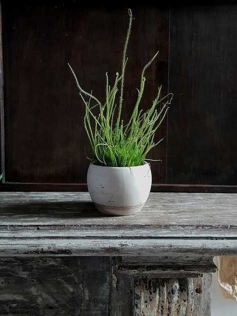 Ripresa verticale di una pianta in un vaso di fiori bianchi su un vecchio tavolo di legno