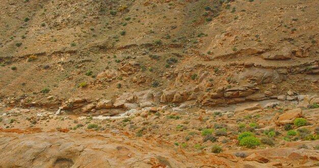 Riprese di alta qualità di una valle e gola a Fuerteventura al tramonto Canyon del deserto in vista panoramica 4K Famosa destinazione turistica Barranco de las Penitas In salita su uno stretto sentiero