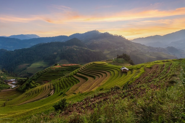 Risaie terrazzate paesaggio di Mu Cang Chai, Yenbai, Vietnam del Nord