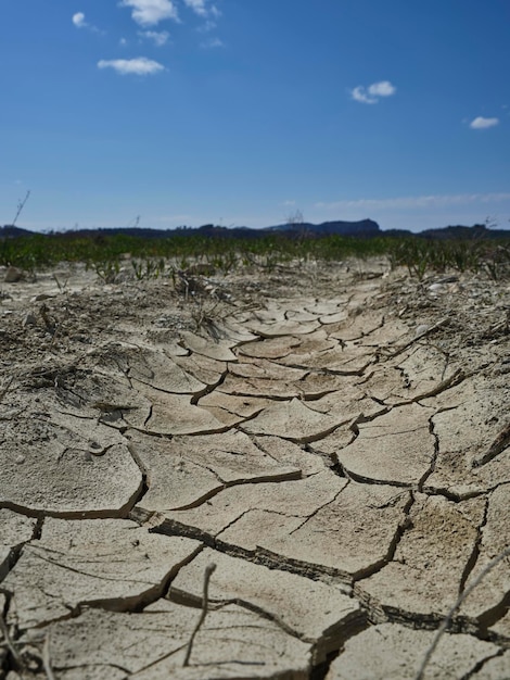 Riscaldamento globale e siccità in natura