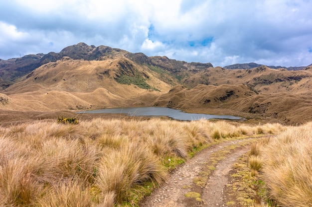 Riserva ecologica di Cayambe Coca in Ecuador