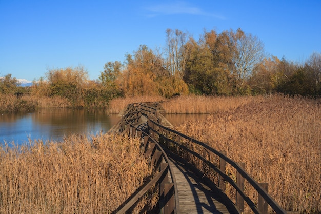 Riserva naturale del canale Valle Novo