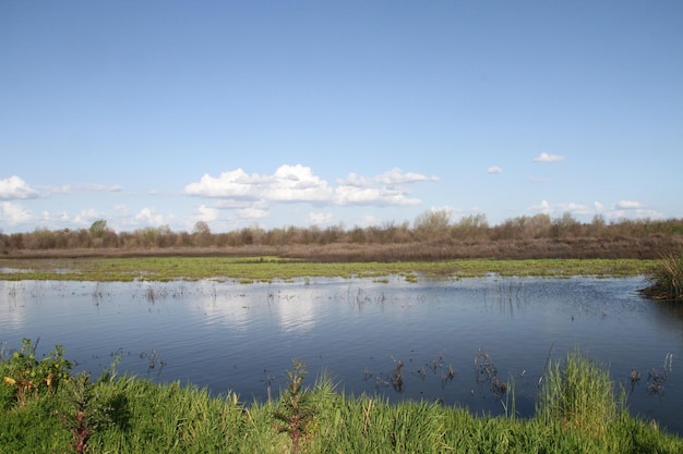 Riserva naturale di San Joaquin California