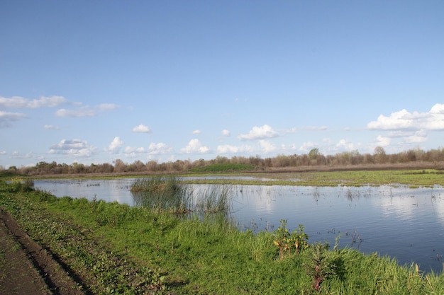 Riserva naturale di San Joaquin California