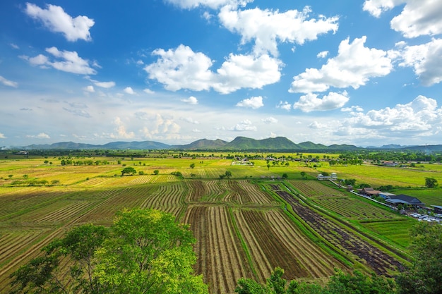 Riso Terrazza Ripresa aerea Immagine del bellissimo campo di riso terrazza a Chiang Rai Thailandia