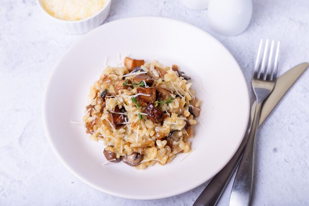 Risotto ai funghi porcini. Piatto della tradizione italiana. Primo piano, orientamento orizzontale.