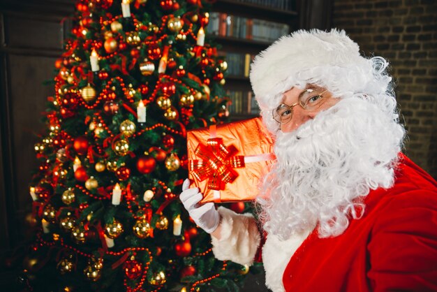 Ritratti e stile di vita di Babbo Natale. Fare selfie con decorazioni natalizie